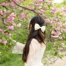 늘푸른전당 이미지