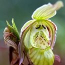 반포삼정공인중개사사무소 이미지