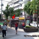 서래갈매기 이미지