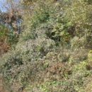 자개1리마을회관 이미지