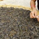 만전차산에서의 첫 날 두 번 째 - 2012년 4월 2일 이미지