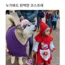 빨간모자와 늑대 이미지