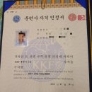 바닐라 애견샵 이미지