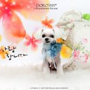 쮸니샵