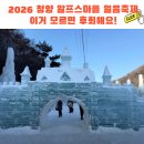 강촌체험낚시터 | 2026 청양 알프스마을 얼음축제 찐후기!(예약, 입장료, 할인, 먹거리) 이거 모르면 후회해요!