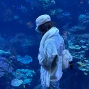 &lt;여자혼자 미국여행 11,12일차&gt; 조지아 애틀란타 새해맞이 불꽃놀이+ 수족관+몰 오브 조지아 후기