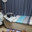 프불하우스 이미지