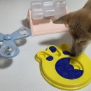 다이소번동점 | [다이소] 개 미치는 저렴이 노즈워크템 3종 후기🐕💕 내돈내산🤑