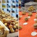 주식회사 부산비즈니스호텔 이미지