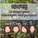 [P의 웨딩] 단발예신의 헤어변형, 단하루웨딩! (20~40만원 헤어변형 업체 비교)