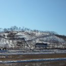 설국농장 이미지