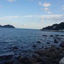 석교리 마을진입로 이미지