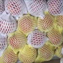 둥이네 농장 이미지