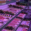 배보삼춘 이미지