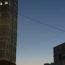 오니와플 | [내돈내산 후기] 카페인중독 ”두바이 초코 와플“ 매장까지 가서 픽업 한 후기…