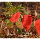 연수원길 이미지