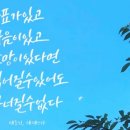 성복역롯데파크나인 공인중개사사무소 | 힐앤자이 성복동아파트 일주일이야기(26.3.2~26.3.7)