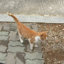 옛방망이칼국수 | 1박 2일 묵호여행🌊 주말 묵호는 웨이팅의 연속,, 강풍주의보지만 묵호를 가야하는 이유! 묵호 여행 일정...