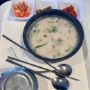 세븐일레븐(소계점) | 강아지랑 제주도 배변ㅣ목포 제주 왕복 배편 퀸제누비아호 펫스탠다드룸 이용 후기