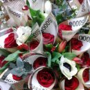 축하드립니다 이미지