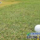 크라운CC 이미지