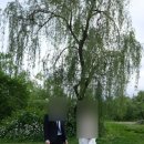 FM22 | 웨딩촬영 야외스냅 FM90.6 후기 추천추천~~