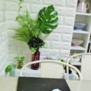 쭈꾸쭈꾸미 이미지