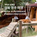 중부-현장-중부-345 | 아이와 1박 2일 경북 영주 여행) 부석사-소백산생태탐방원-야생생물보전원 중부보전센터
