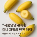애플마트 | 🍎내돈내산 변종과일 애플바나나 후기｜배민마트에서 발견한 쫀득달달 시큼한 신품종 과일, 애플바나나...