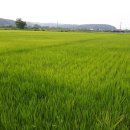 기풍농장 이미지