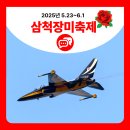 도계 | [도계 생생 소식] 삼척 장미축제_ 도계 사진기록단 후기~🌹