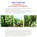 한길 산악동호회 10주년 특별기획 울릉도+독도 2박3일 섬여행 안내 이미지