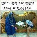 재밌는 jpg ~~ 이미지