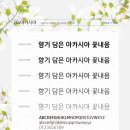 Rix아카시아 폰트랑 비슷한 폰트 있을까요? 이미지