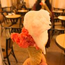 로마 여행 &#34;젤라또 Gelato&#34; 젤라또 맛집 후기/ 파씨, 지올리띠 외/ 수박맛 젤라또 Cocomero