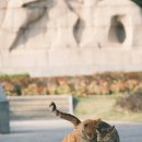 아이튼튼동물병원 이미지