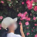 컴포즈커피창원라포레점