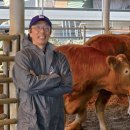 알곡한우농장 이미지