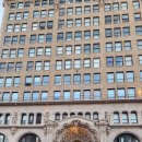 레몬트리 이미지