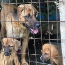 종식2농장 이미지