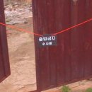 허은정 카카오 검색결과