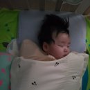 100일간의 수면교육
