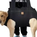 풍기성심요양병원 이미지