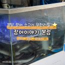 분당 맛집 장어이야기 무한리필 45000원 코스 가족모임 솔직 후기(이전 풍천수랏간)