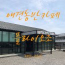 플라이오조