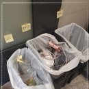 디와이클린 네이버블로그