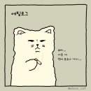 강아지삼촌