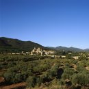 세계문화유산 (410) / 스페인 포블레트 수도원(Poblet Monastery; 1991) 이미지