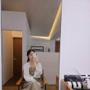 차홍아르더 도산 중단발 레이어드 컷 C컬펌 가격
