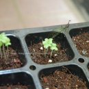 세경농장 이미지